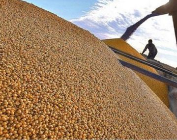 Oficial: Cláusula Monsanto fue eliminada