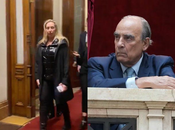 Ley Ómnibus: Karina Milei y Guillermo Francos, presentes en Diputados