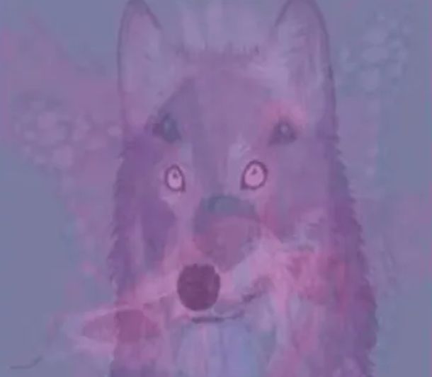 Solo tenés que decir qué animal logras identificar con claridad.| Foto: namastest