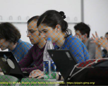 Ilusión óptica viral: ¿Esta imagen es en blanco y negro o en colores?