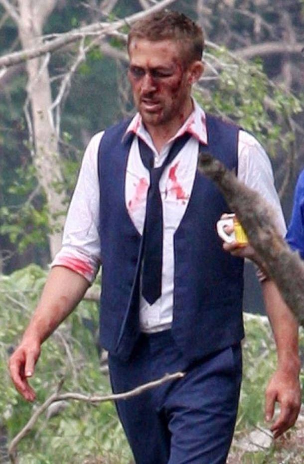 Gosling
