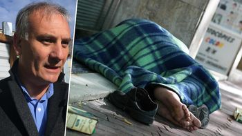 un funcionario pro dijo que los sin techo son como perritos comodos en la calle un funcionario pro dijo que los sin techo son como perritos comodos en la calle