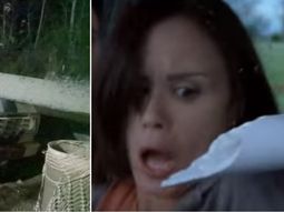 de pelicula: un cano atraveso de punta a punta su camioneta y se salvo de milagro de pelicula: un cano atraveso de punta a punta su camioneta y se salvo de milagro