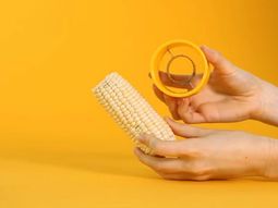 ¿Y esto para qué sirve?