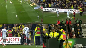 Los jugadores y la seguridad del club tuvieron que sacar los animales muertos del campo de juego Los jugadores y la seguridad del club tuvieron que sacar los animales muertos del campo de juego