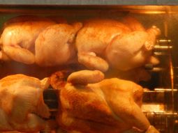 Pollo