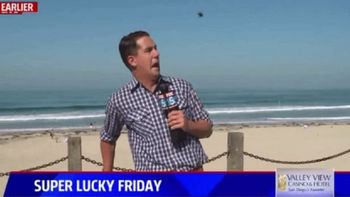 video: periodista entro en panico en vivo por un insecto gigante video: periodista entro en panico en vivo por un insecto gigante