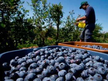 Paritarias de 84%: a quiénes les corresponde