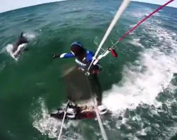 VIDEO: lo acompañó una pareja de delfines