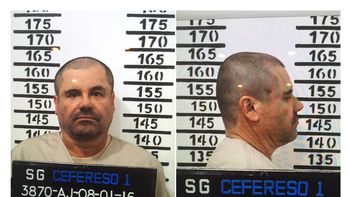 el chapo guzman fue cambiado ocho veces de celda en cuatro dias el chapo guzman fue cambiado ocho veces de celda en cuatro dias