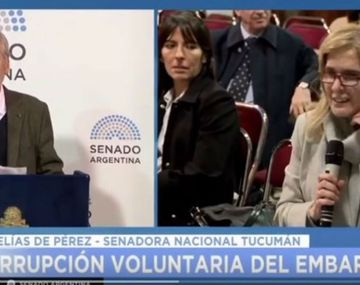 El papelón de una senadora provida
