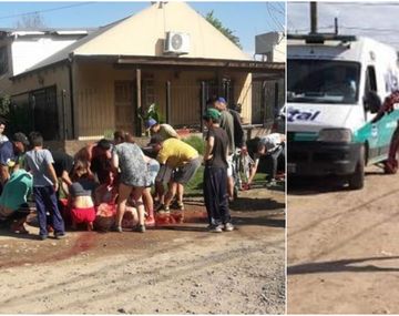 Volcó un camión con ganado y los vecinos carnearon una vaca en plena calle