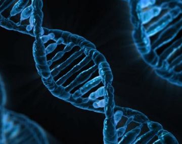 Google se suma a la lucha contra el cáncer