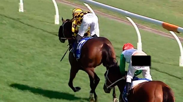 Turf: un jinete sufrió un curioso accidente
