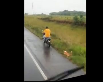 Imputan a un hombre por arrastrar a un perro por la ruta con su moto