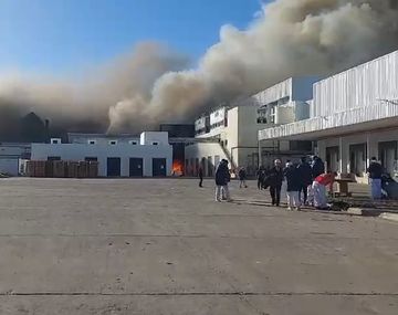 Importante incendio en un frigorífico generó humo y preocupación en La Plata
