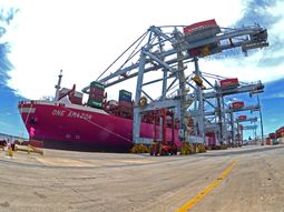 Terminal Cuenca del Plata anunció una corrección al alza del 13% en las tarifas a la exportación y de admisión temporaria. Terminal Cuenca del Plata anunció una corrección al alza del 13% en las tarifas a la exportación y de admisión temporaria.