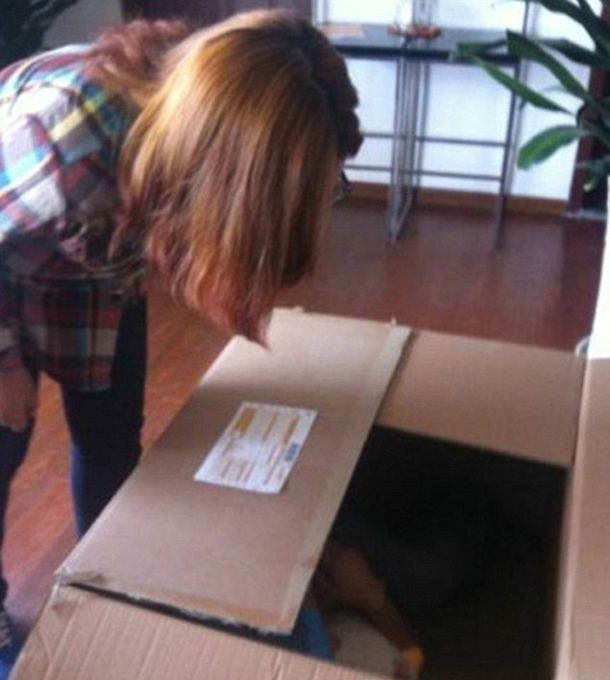 Casi muere al enviarse por correo a su novia en una caja