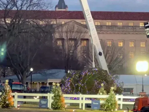 Por primera vez en más de 100 años se cayó el árbol de Navidad de la Casa Blanca