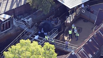 Tragedia en una montaña rusa de agua Tragedia en una montaña rusa de agua