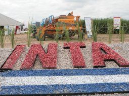 El Gobierno eliminó la Dirección Nacional del INTA