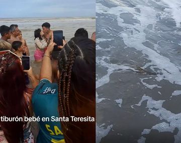 La reacción de una mujer al ver que la gente jugaba con un tiburón bebé