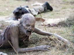 efecto the walking dead: mato a su amigo porque penso que era un zombie