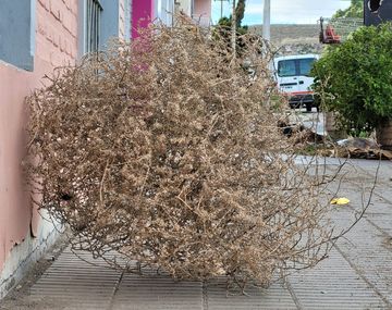 El viento arrastra todo lo que la gente tira