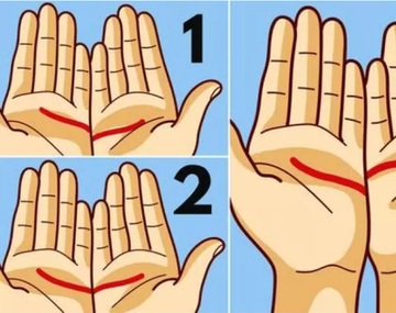 Test viral: conocé tus objetivos en el amor según la unión de las líneas de tus manos