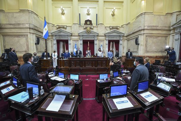 Aborto: el proyecto obtuvo dictamen en el Senado y se debate el 29