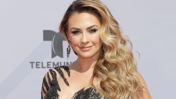 Aracely Aråmbula reapareció en las redes sociales. Aracely Aråmbula reapareció en las redes sociales.
