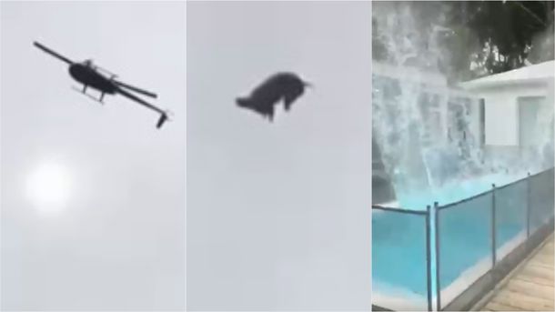 VIDEO: Tiraron un cerdo desde un helicóptero a una pileta