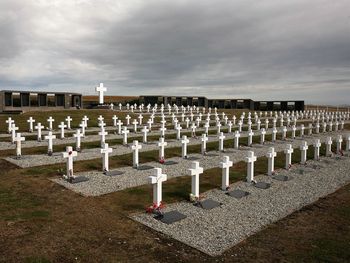 Cementerio de Darwin