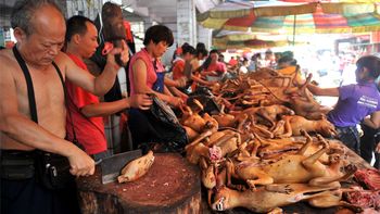 Perros listos para vender en un mercado chino