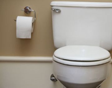 ¡Un asco! Levanta la tapa del inodoro y encuentra 40 ranas