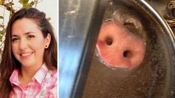 tras la polemica foto, narda lepes se defendio del ataque de los ecologistas tras la polemica foto, narda lepes se defendio del ataque de los ecologistas