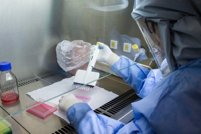 Alerta mundial por la cepa californiana del coronavirus: sería capaz de evadir los anticuerpos de la vacuna