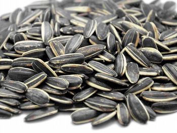 Se ahogó con semillas de girasol y murió&nbsp;