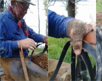 Hace 40 años que voy a la isla y nunca vi semejante enjambre de mosquitos