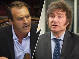 payaso y chucky mal diagnosticado: criticas a javier milei en el senado