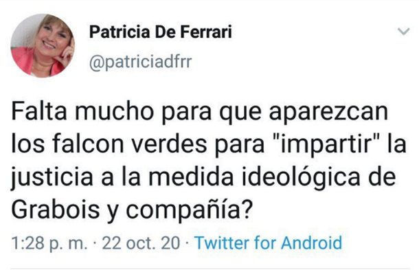#PatriciaRenunciáYa: piden desplazar a la legisladora radical que comparó a Grabois con los Falcon verde de la dictadura genocida