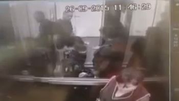 video: se molesto porque un perro estaba en un ascensor y golpeo a la mascota video: se molesto porque un perro estaba en un ascensor y golpeo a la mascota