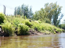 Hallaron un cuerpo en el río Luján Hallaron un cuerpo en el río Luján