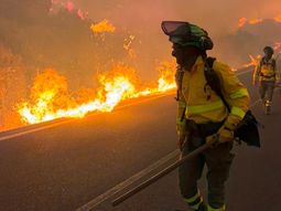 Bomberos trabajan en el lugar para detener el avance de las llamas.