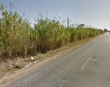 Encuentran restos de un bebé dentro de una bolsa en un baldío