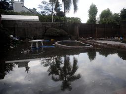 todavia buscan a personas a traves de las redes sociales todavia buscan a personas a traves de las redes sociales