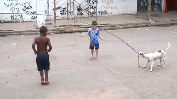 VIDEO: Perro se divierte ayudando a niños a saltar la soga