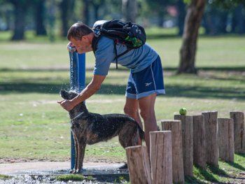 Alerta amarilla por calor extremo para cuatro provincias