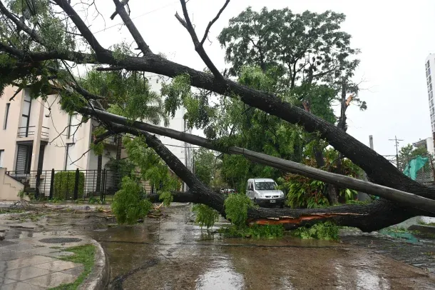 Foto gentileza: Télam&nbsp;