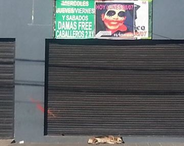 Fueron 20 los tiros a los chicos en la puerta de un boliche